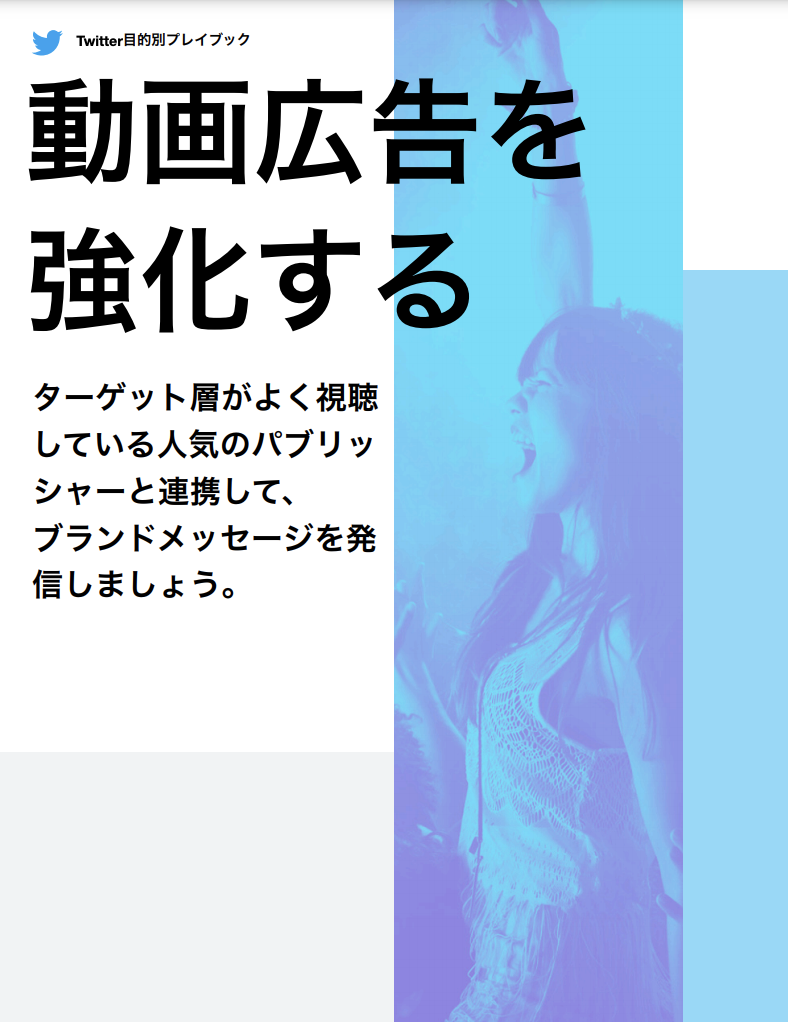 「動画広告を強化する」というタイトルのTwitter活用術の表紙